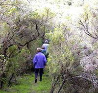 Jack And Hilda McArthur Walk - ACT Tourism