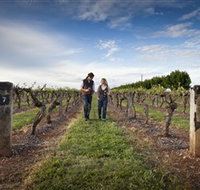 Coonawarra Wineries Walking Trail - ACT Tourism
