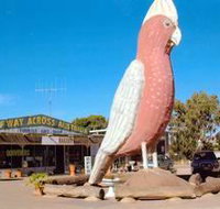 The Big Galah - ACT Tourism