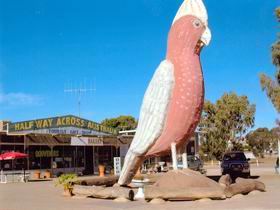 The Big Galah - ACT Tourism 0