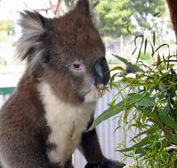 Glen-Forest Tourist Park - ACT Tourism