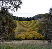 Mt Bera Vineyards - ACT Tourism
