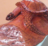 Ants Redgum Gallery - ACT Tourism