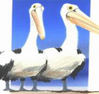 Bay of Shoals Wines - ACT Tourism