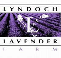 Lyndoch Lavender Farm and Cafe - ACT Tourism