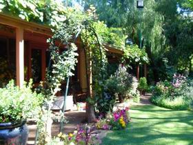 Rainforest Retreat - ACT Tourism 0