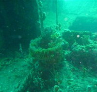 Wallaroo Scuba Club - ACT Tourism