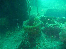 Wallaroo Scuba Club - ACT Tourism 0