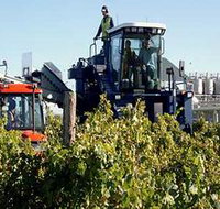 Ballast Stone Estate Wines Pty Ltd - ACT Tourism