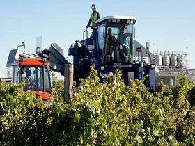 Ballast Stone Estate Wines Pty Ltd - ACT Tourism 0