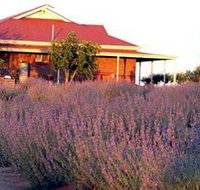 Bella Lavender Estate - ACT Tourism
