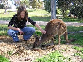 Mccallum SA ACT Tourism