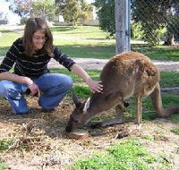 Pendleton Farmstay - ACT Tourism