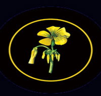 Battle of Bosworth Wines - ACT Tourism