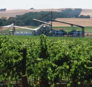 Kirrihill Wines - ACT Tourism