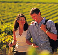 Lady Bay Vineyard - ACT Tourism