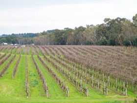 Dennis Wines - ACT Tourism 0