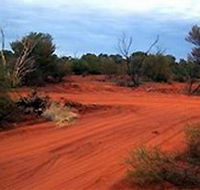 Tallaringa Conservation Park - ACT Tourism
