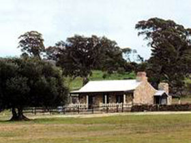 Fernfield Wines - ACT Tourism 0