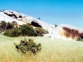 Ucontitchie Hill - ACT Tourism 0