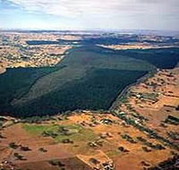 Mount Crawford Forest Reserve - ACT Tourism
