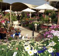 Serenity Nursery - ACT Tourism