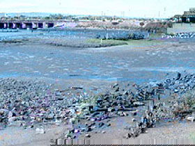 Jervois Basin Ships' Graveyard - ACT Tourism 0