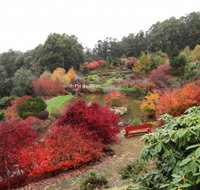 Emu Valley Rhododendron Garden - ACT Tourism