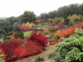 Emu Valley Rhododendron Garden - ACT Tourism 0