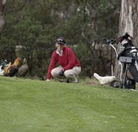 Tasmania Golf Club - The - ACT Tourism
