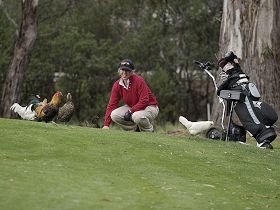 Tasmania Golf Club - The - ACT Tourism 0