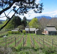 Wilmot Hills Vineyard - ACT Tourism