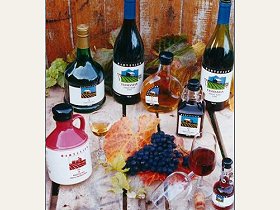 Hartzview Vineyard - ACT Tourism 0