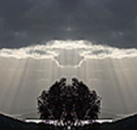 aart. Gallery of Fine Art - ACT Tourism