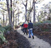 Bridport Walking Track - ACT Tourism