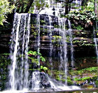 Mt Field National Park - ACT Tourism