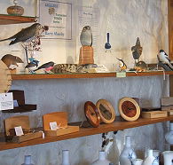 Touchwood Craft Gallery Gifts and Cafe - ACT Tourism