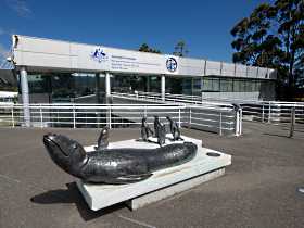 Australia's Antarctic Headquarters - ACT Tourism 0