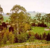 The Tasmanian Arboretum - ACT Tourism