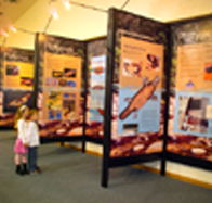 Platypus Experience - ACT Tourism