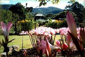 Blueberry Cottage Open Gardens - ACT Tourism 0