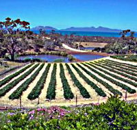 Kate's Berry Farm - ACT Tourism