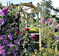 Thelma Retreat Garden and Teahouse - ACT Tourism