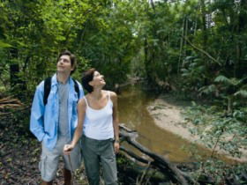 Mooloolah River National Park, Jowarra Section - ACT Tourism 0