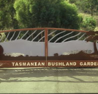 Tasmanian Bushland Garden - ACT Tourism