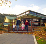 Australian Axeman's Hall of Fame - ACT Tourism