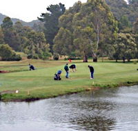Penguin Golf Course - ACT Tourism