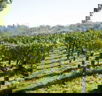 Surveyor's Hill Vineyards - ACT Tourism
