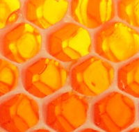 The Honey Pot - ACT Tourism