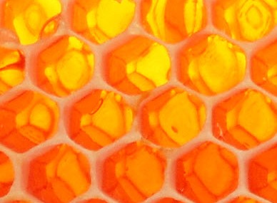 The Honey Pot - ACT Tourism 0